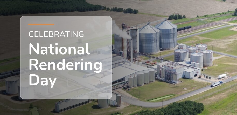 National Rendering Day Celebration